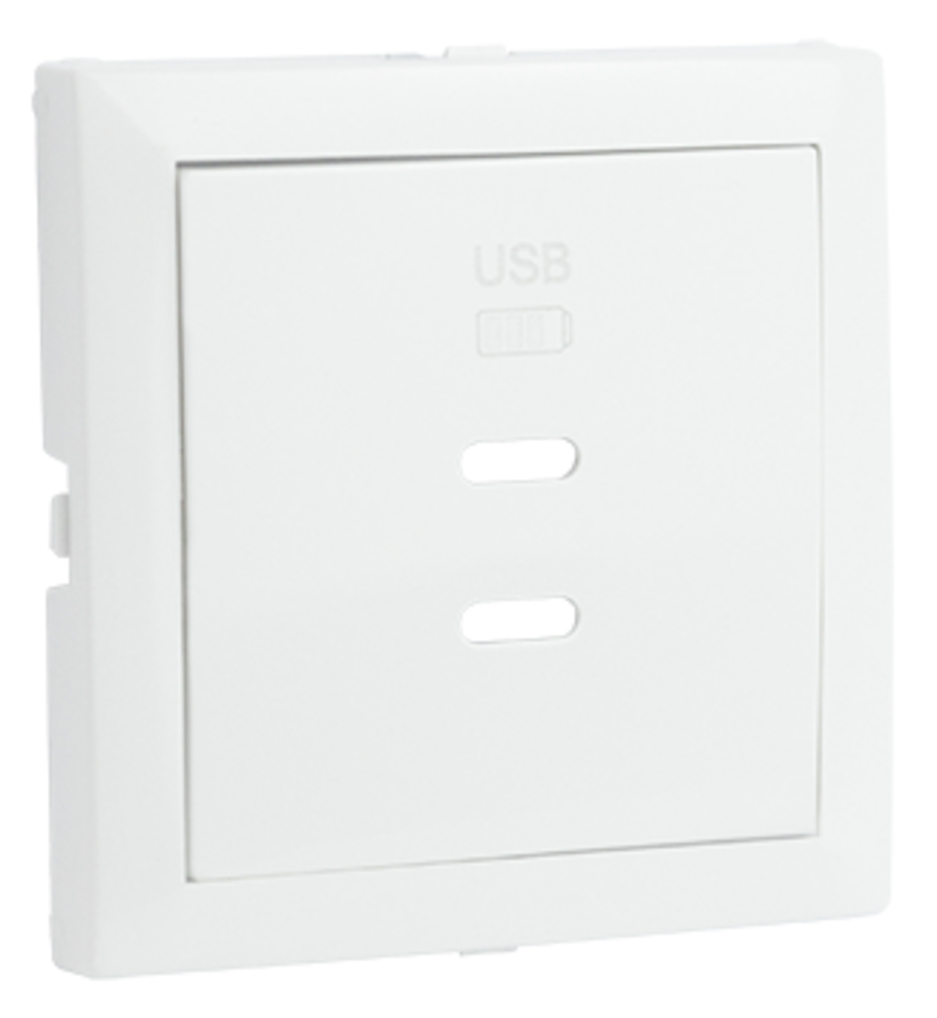 Enjoliveur pour Chargeur Double USB Type C